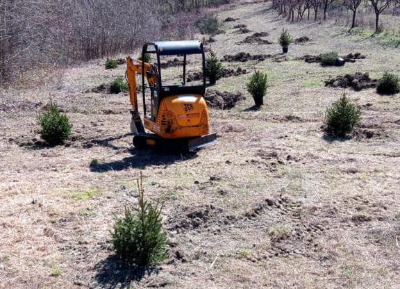 Pineta per la Cascina Rossago